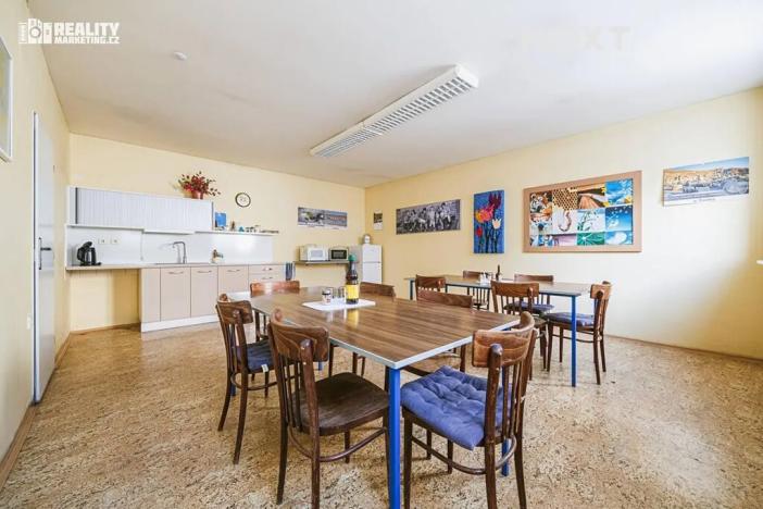 Prodej výrobních prostor, Břeclav, Hraniční, 1917 m2