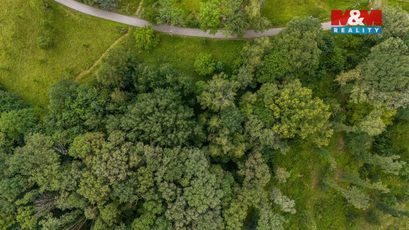 Prodej louky, Višňová - Andělka, 3376 m2