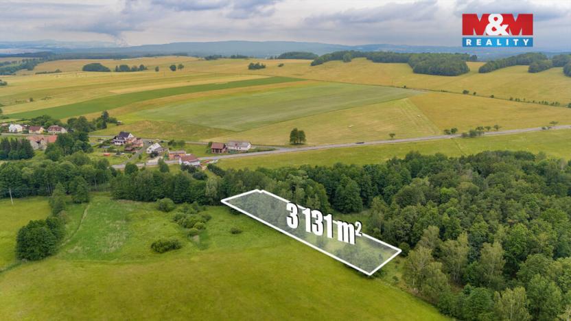 Prodej louky, Dětřichov, 4178 m2