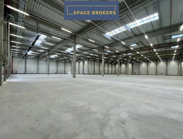 Pronájem skladu, Pardubice, 3500 m2