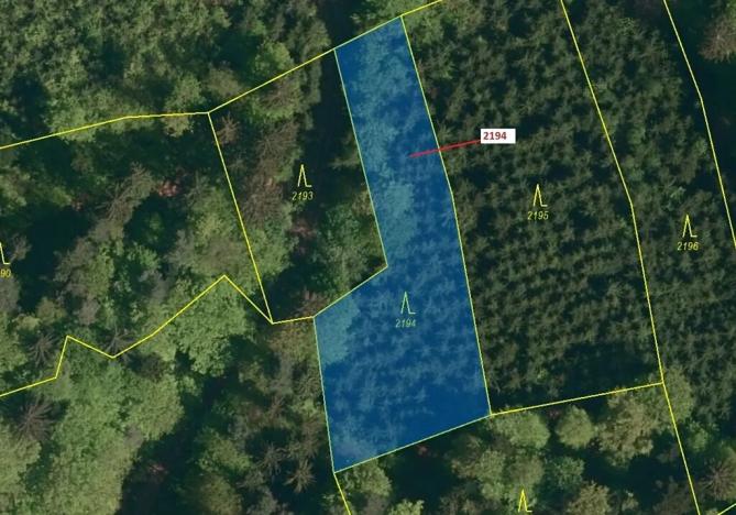 Dražba lesa, Valašská Senice, 1662 m2