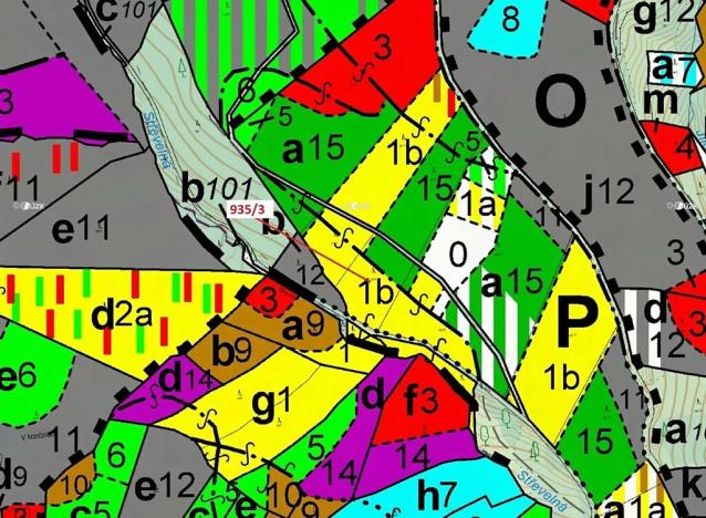 Dražba lesa, Jílové u Držkova, 2349 m2