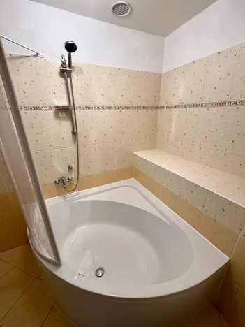 Pronájem bytu 1+kk, Karviná, Fryštátská, 48 m2