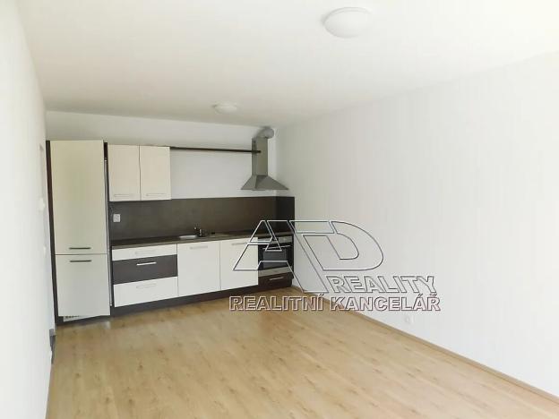 Pronájem bytu 1+1, České Budějovice, Nová, 47 m2