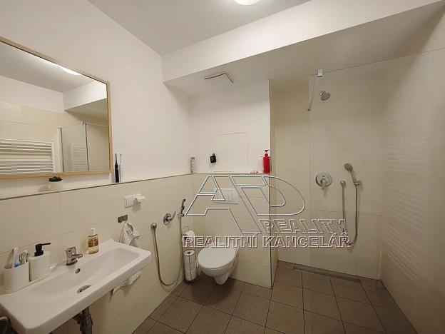 Pronájem bytu 1+1, České Budějovice, Nová, 47 m2