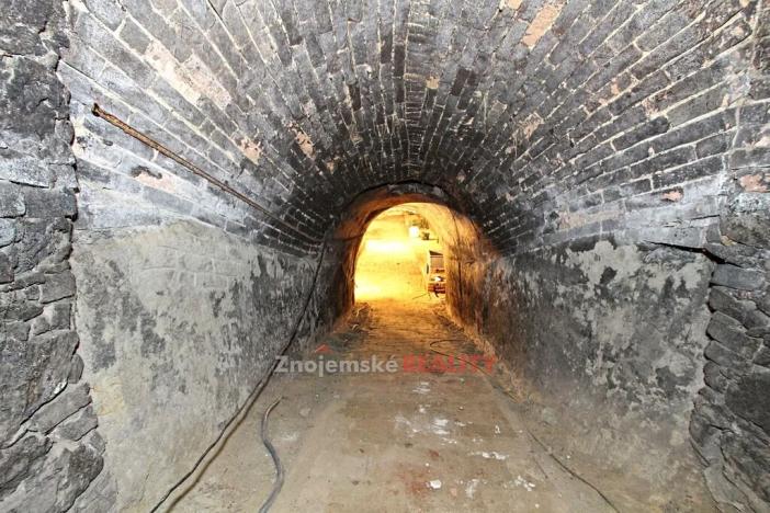 Prodej vinného sklepa, Chvalovice, 106 m2