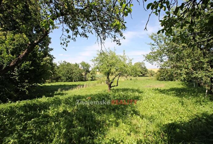 Prodej rodinného domu, Grešlové Mýto, 100 m2
