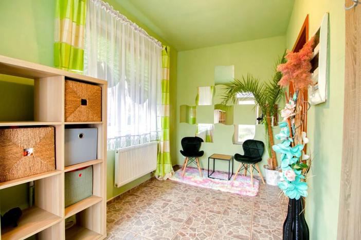 Prodej rodinného domu, Nepřevázka, 252 m2