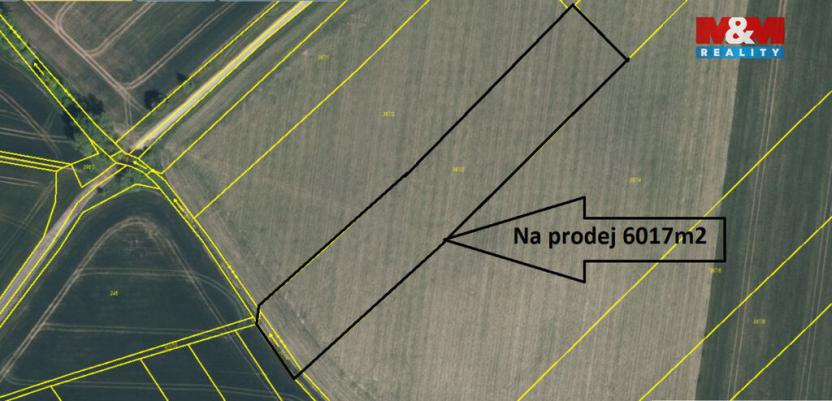 Prodej pole, Provodov-Šonov - Šonov u Nového Města nad Metují, 6017 m2