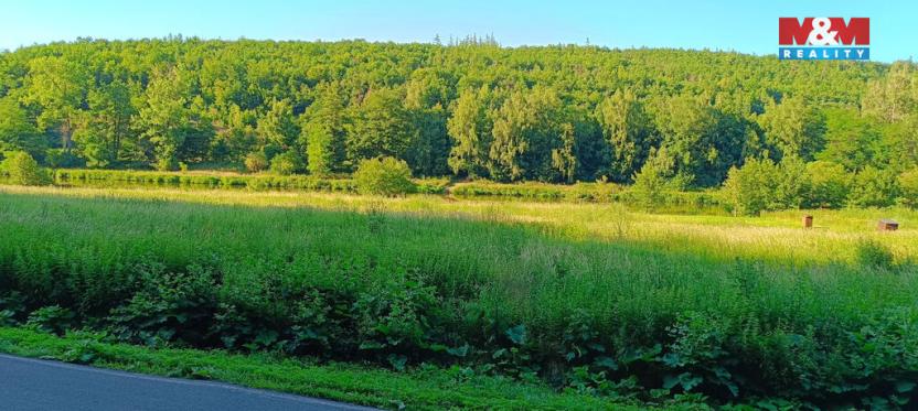 Prodej louky, Nižbor - Žloukovice, 1665 m2