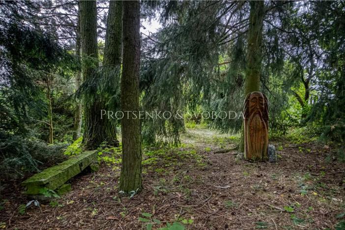 Prodej rodinného domu, Pavlov, 354 m2