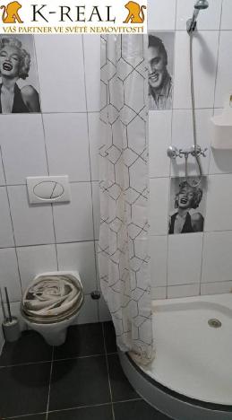 Pronájem bytu 1+kk, Brno, Pražská, 23 m2