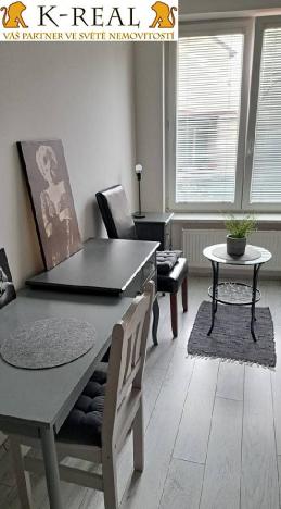 Pronájem bytu 1+kk, Brno, Pražská, 23 m2