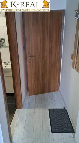 Pronájem bytu 1+kk, Brno, Pražská, 23 m2