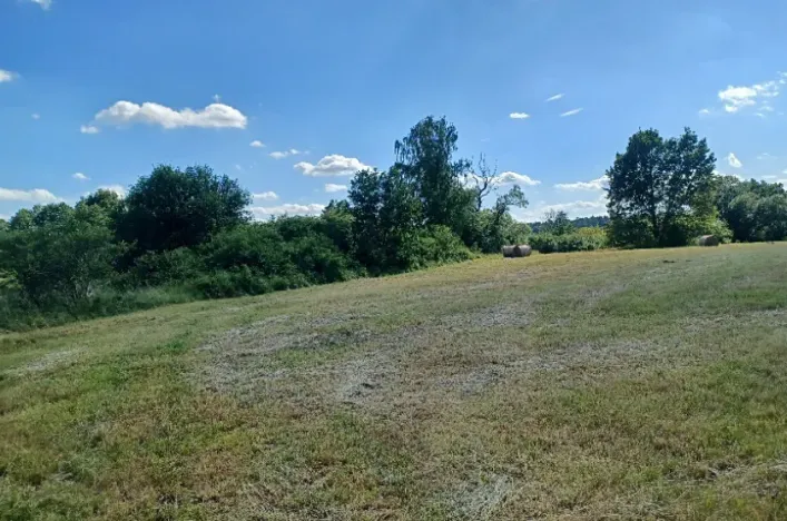 Dražba pozemku, Česká Lípa, 10090 m2