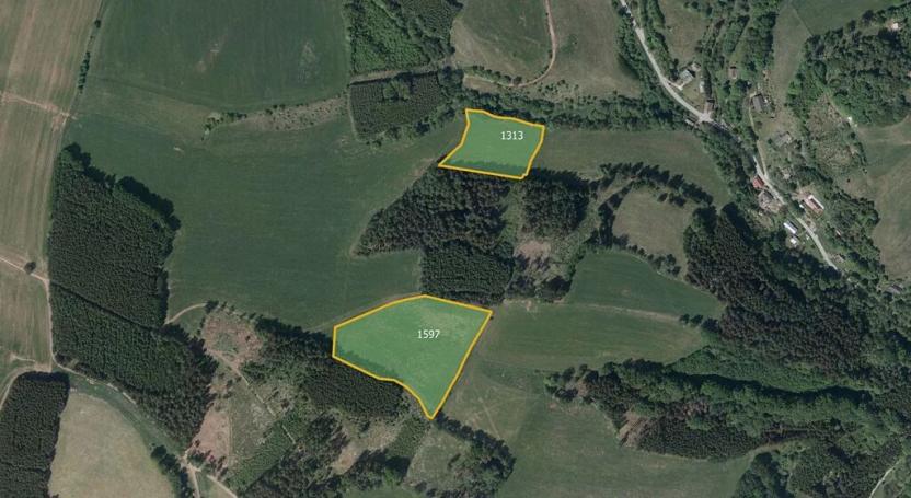 Prodej louky, Vidochov, 28075 m2