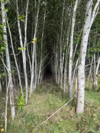 Prodej pole, Česká Kamenice, 108179 m2