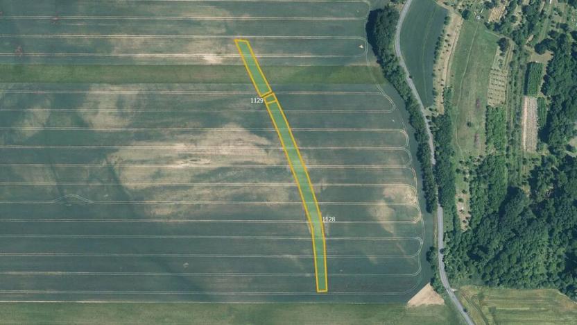 Prodej pole, Medlovice, 9702 m2