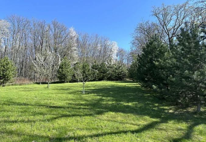 Prodej obchodního prostoru, Ostrava, Lipka, 520 m2