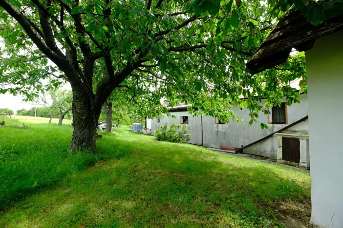 Prodej chalupy, Stříbrnice, 90 m2