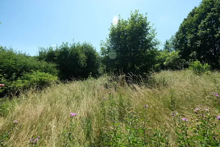 Prodej louky, Vyškovec, 4953 m2