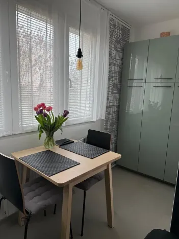 Pronájem bytu 2+1, Plzeň, Ke Špitálskému lesu, 60 m2