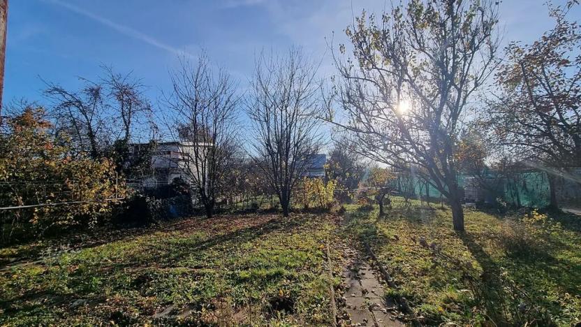 Prodej chaty, Hrušovany u Brna, 95 m2