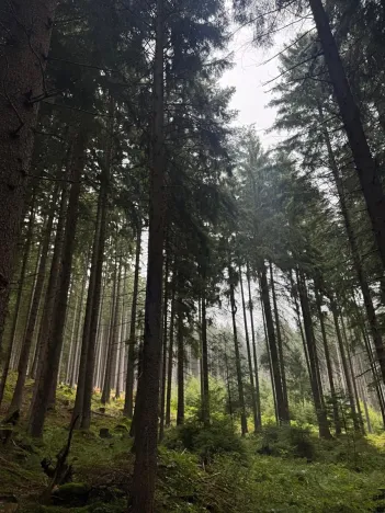 Prodej podílu pole, Nicov, 2230 m2