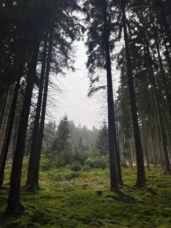 Prodej podílu pole, Nicov, 2230 m2