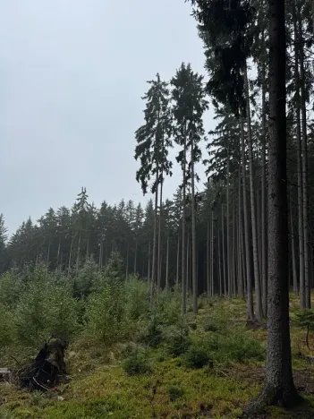 Prodej podílu pole, Nicov, 2230 m2