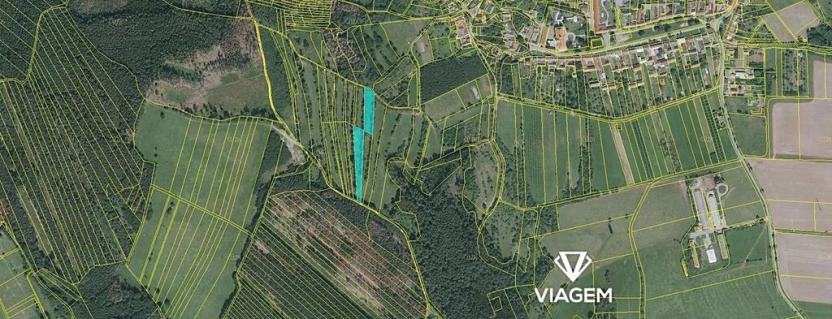 Prodej louky, Borotín, 2410 m2