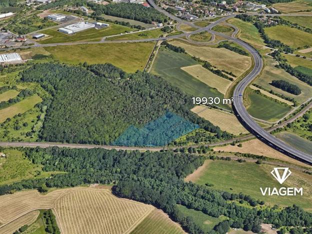 Prodej lesa, Spořice, 19930 m2