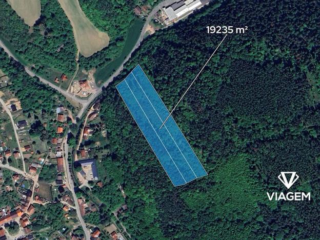 Prodej podílu lesa, Lomnice, 14426 m2