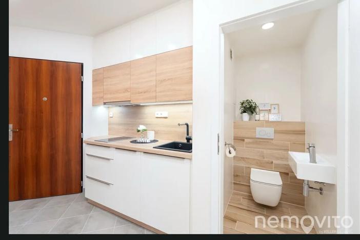 Prodej bytu 1+kk, Praha - Podolí, Na dolinách, 39 m2