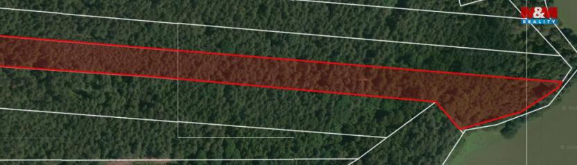 Prodej lesa, Libín - Slavošovice, 32765 m2