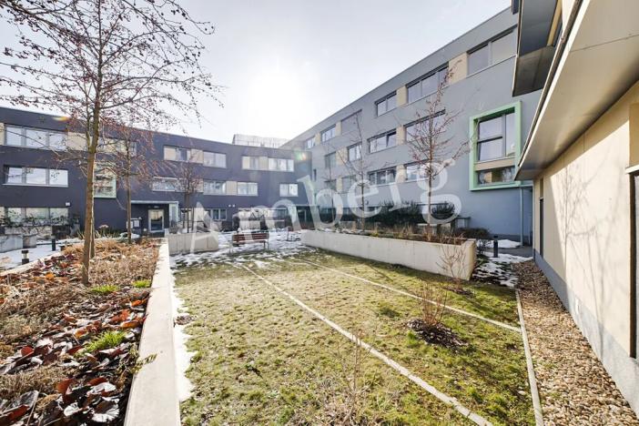 Pronájem bytu 2+kk, Praha - Žižkov, Olgy Havlové, 54 m2