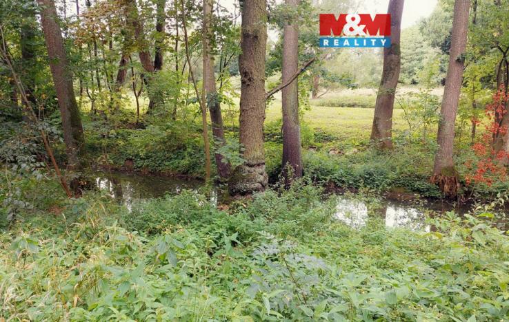 Prodej louky, Bystřice, 1741 m2