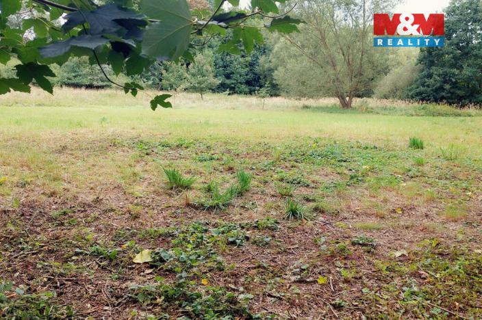 Prodej louky, Bystřice, 1741 m2