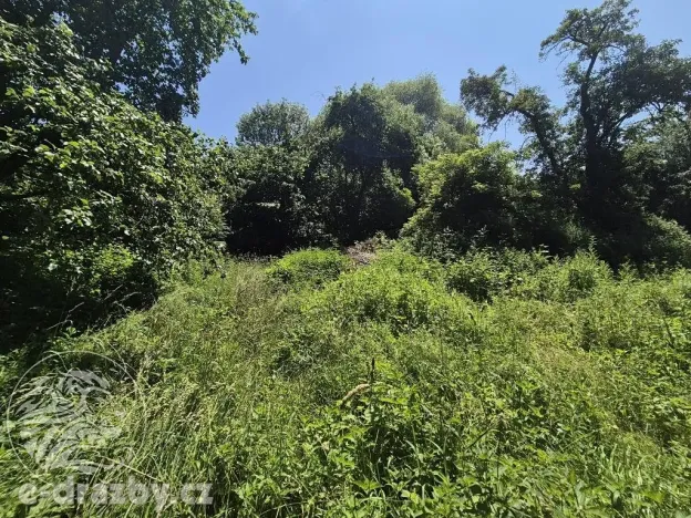 Dražba pozemku pro bydlení, Ondřejov, 4244 m2