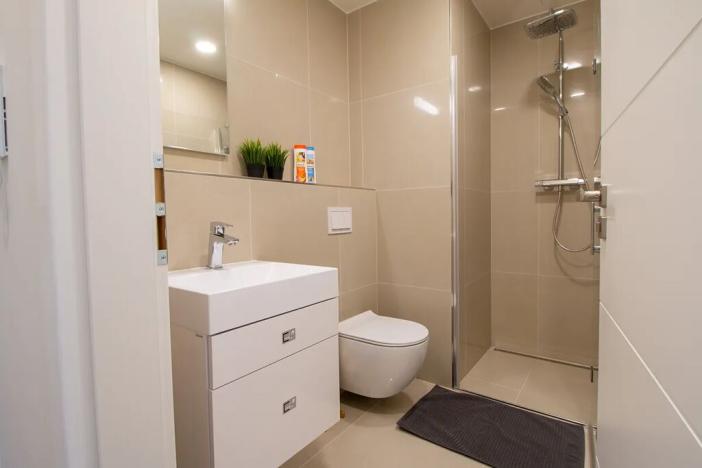 Pronájem bytu 2+kk, Praha - Vinohrady, Perucká, 45 m2