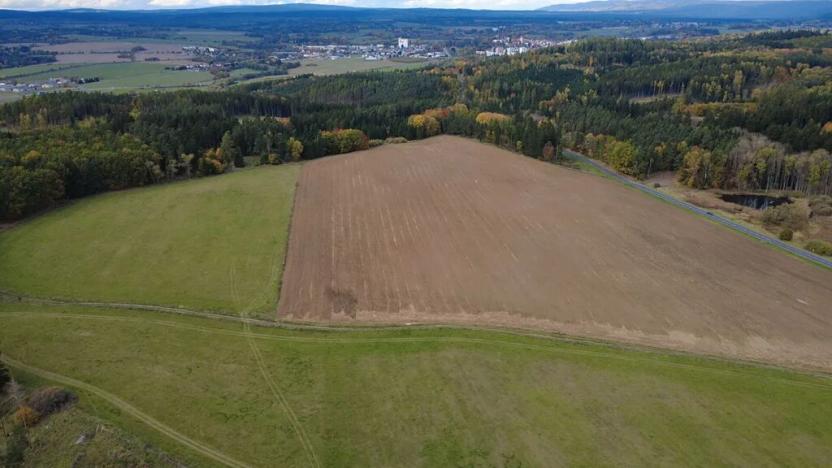 Prodej pozemku pro bydlení, Planá, 391 m2