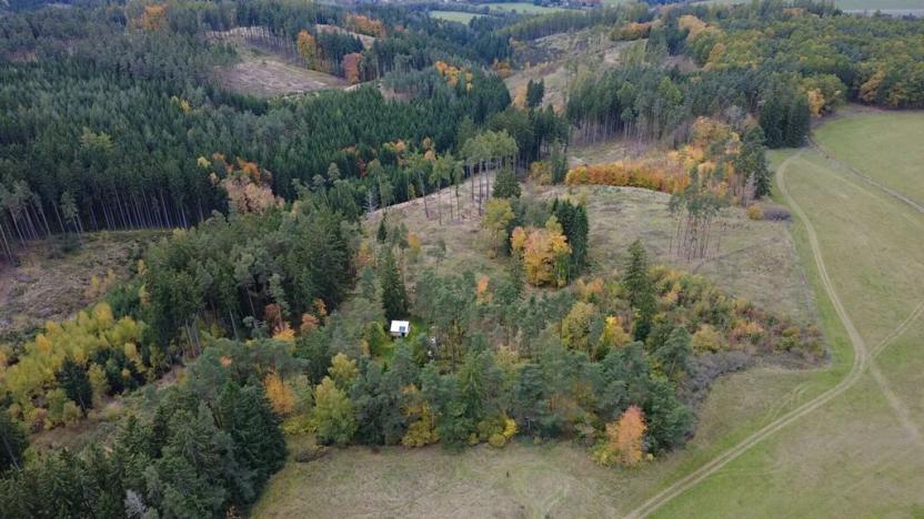 Prodej pozemku pro bydlení, Planá, 391 m2