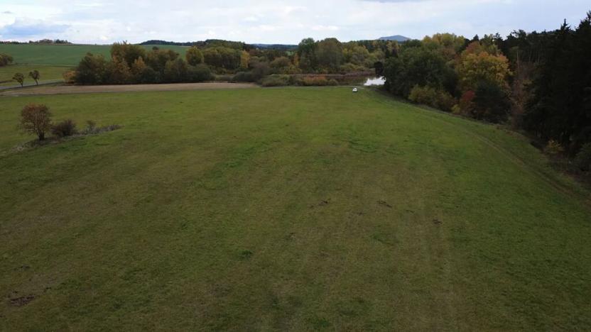 Prodej pozemku pro bydlení, Planá, 391 m2