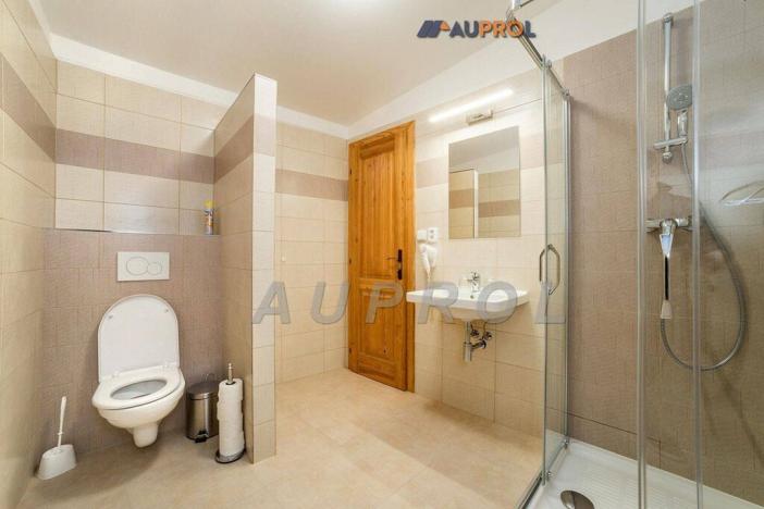 Prodej ubytování, Český Krumlov - Vnitřní Město, Široká, 400 m2