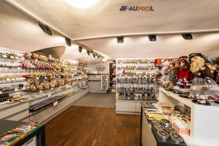 Prodej ubytování, Český Krumlov - Vnitřní Město, Široká, 400 m2