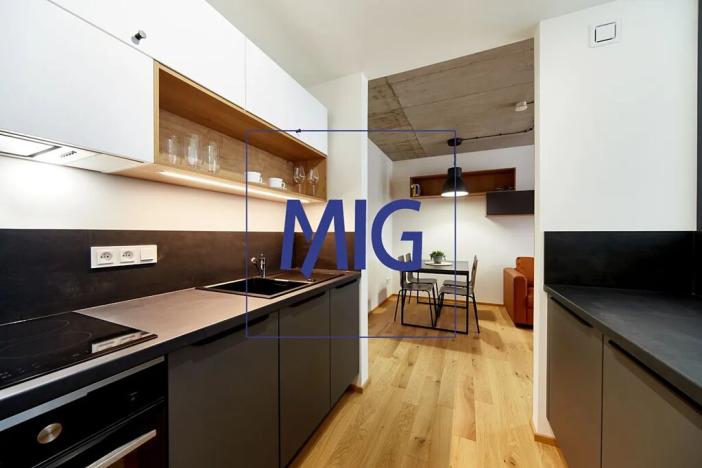 Pronájem bytu 2+kk, Brno, Cejl, 35 m2