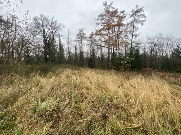 Dražba pozemku, Potěhy, 1589 m2