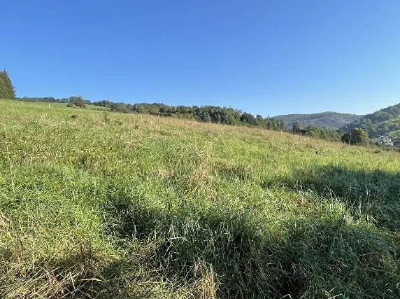 Dražba louky, Vsetín, 3055 m2