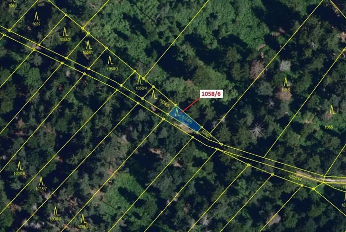 Dražba lesa, Veverské Knínice, 77 m2