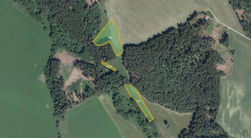 Prodej louky, Hlinsko, 8373 m2